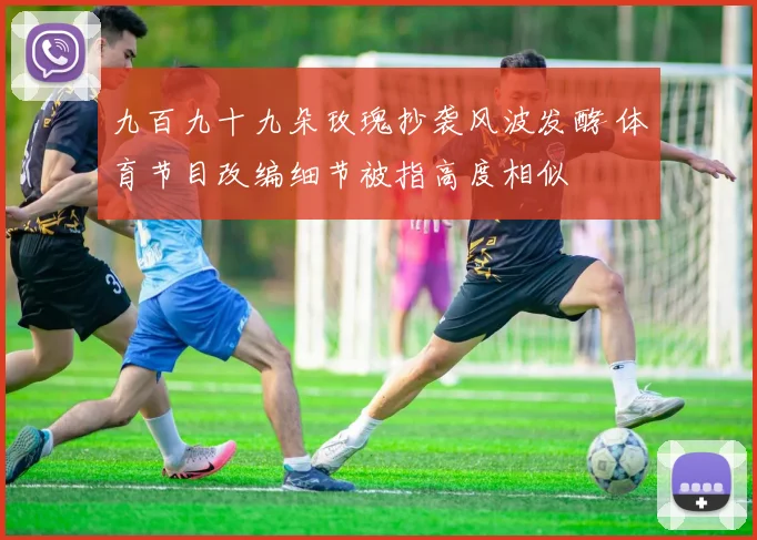 九百九十九朵玫瑰抄袭风波发酵 体育节目改编细节被指高度相似